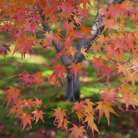 Iroha Stay Kyoto 麗 -Rei- Eksteriør billede